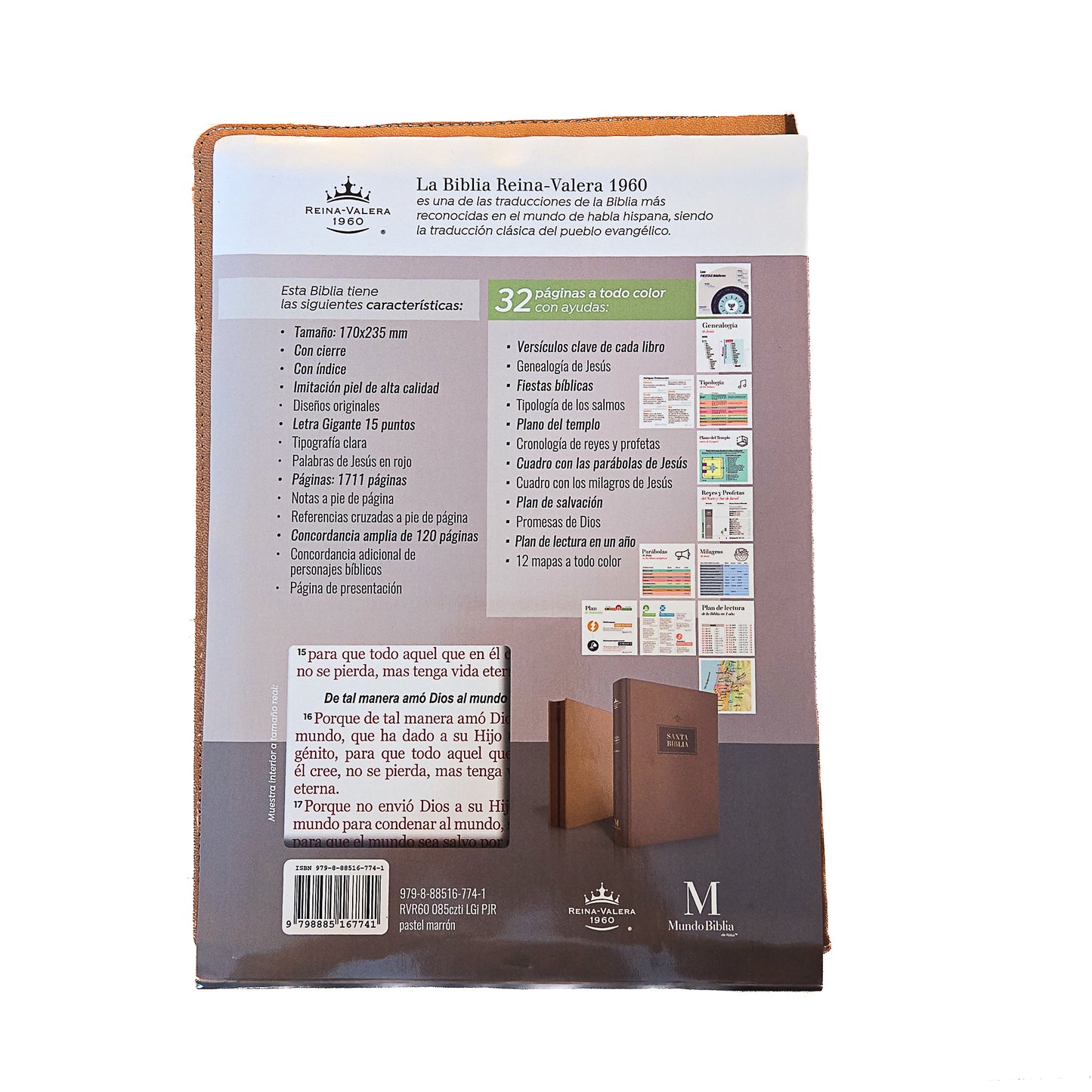 Biblia MB RV60 grande 15 piel