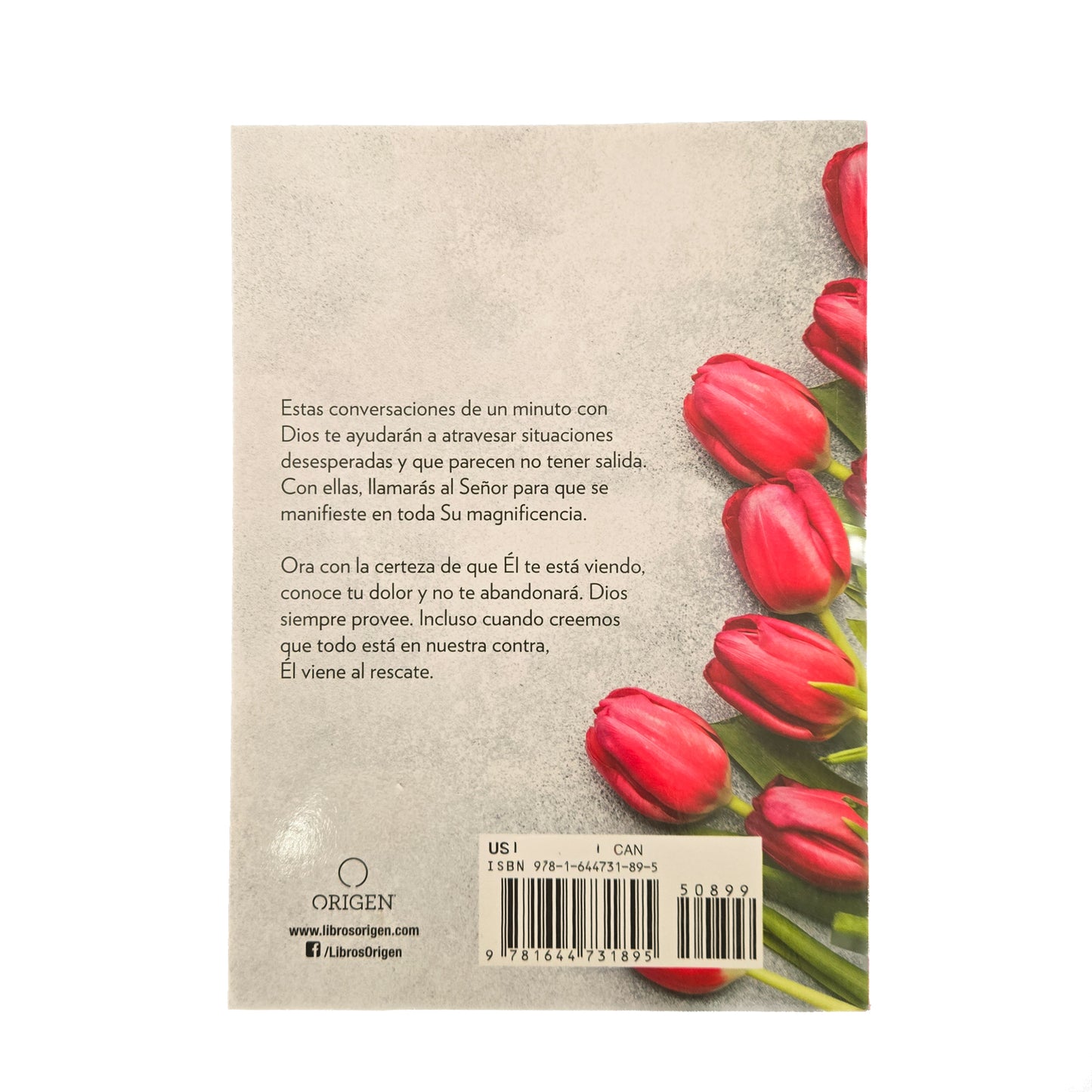 Oraciones de un minuto para cuando necesitas un milagro