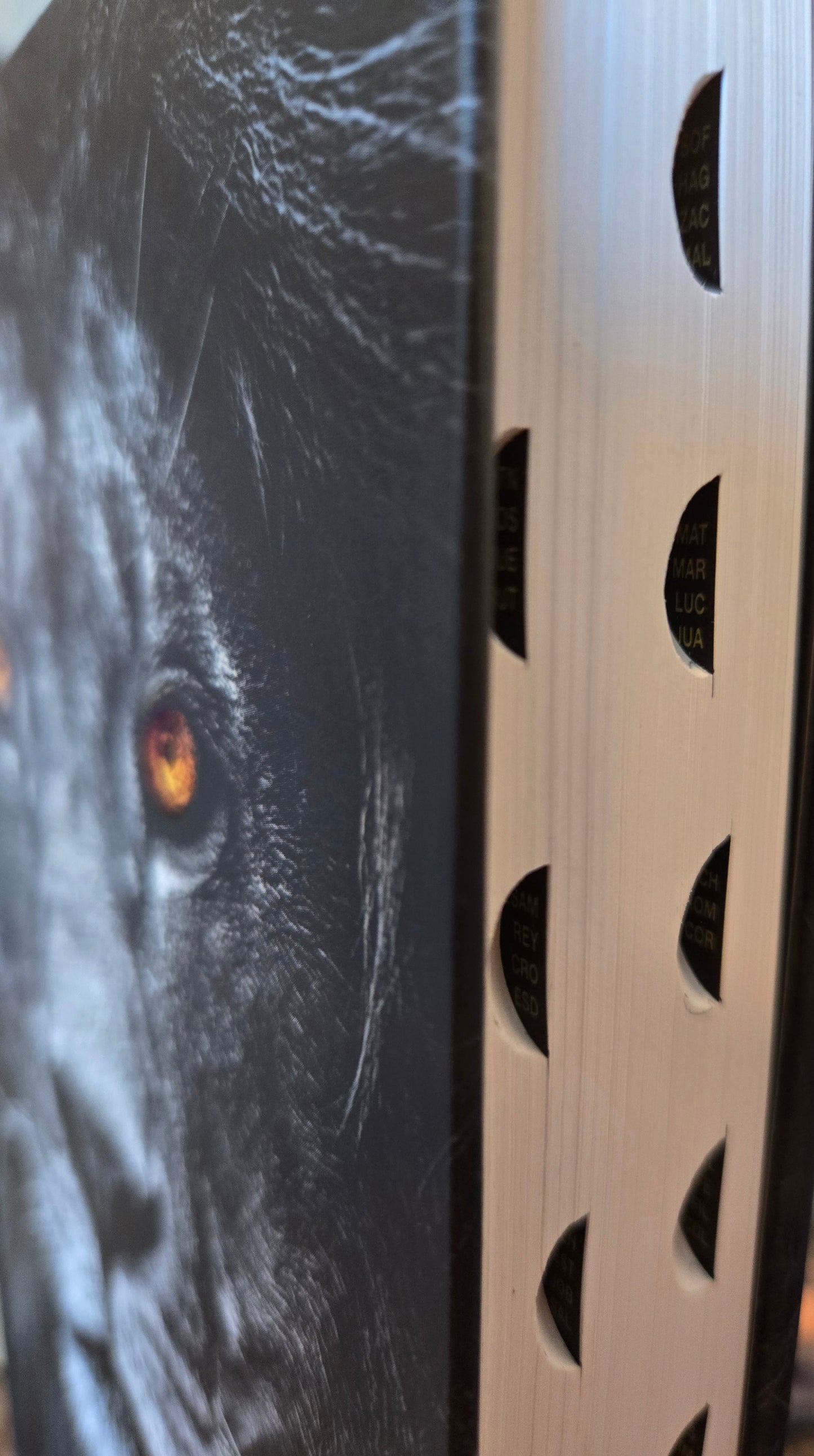 Santa Biblia RV60 León con Indice