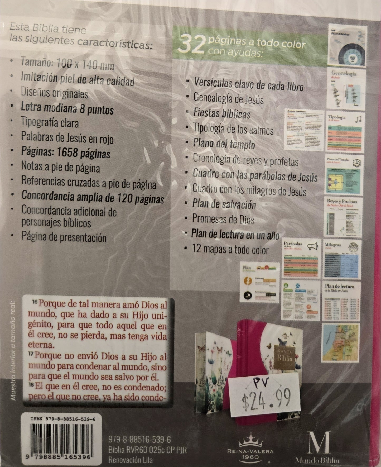 Biblia MB RV60 Bolsillo Fuschia Floral