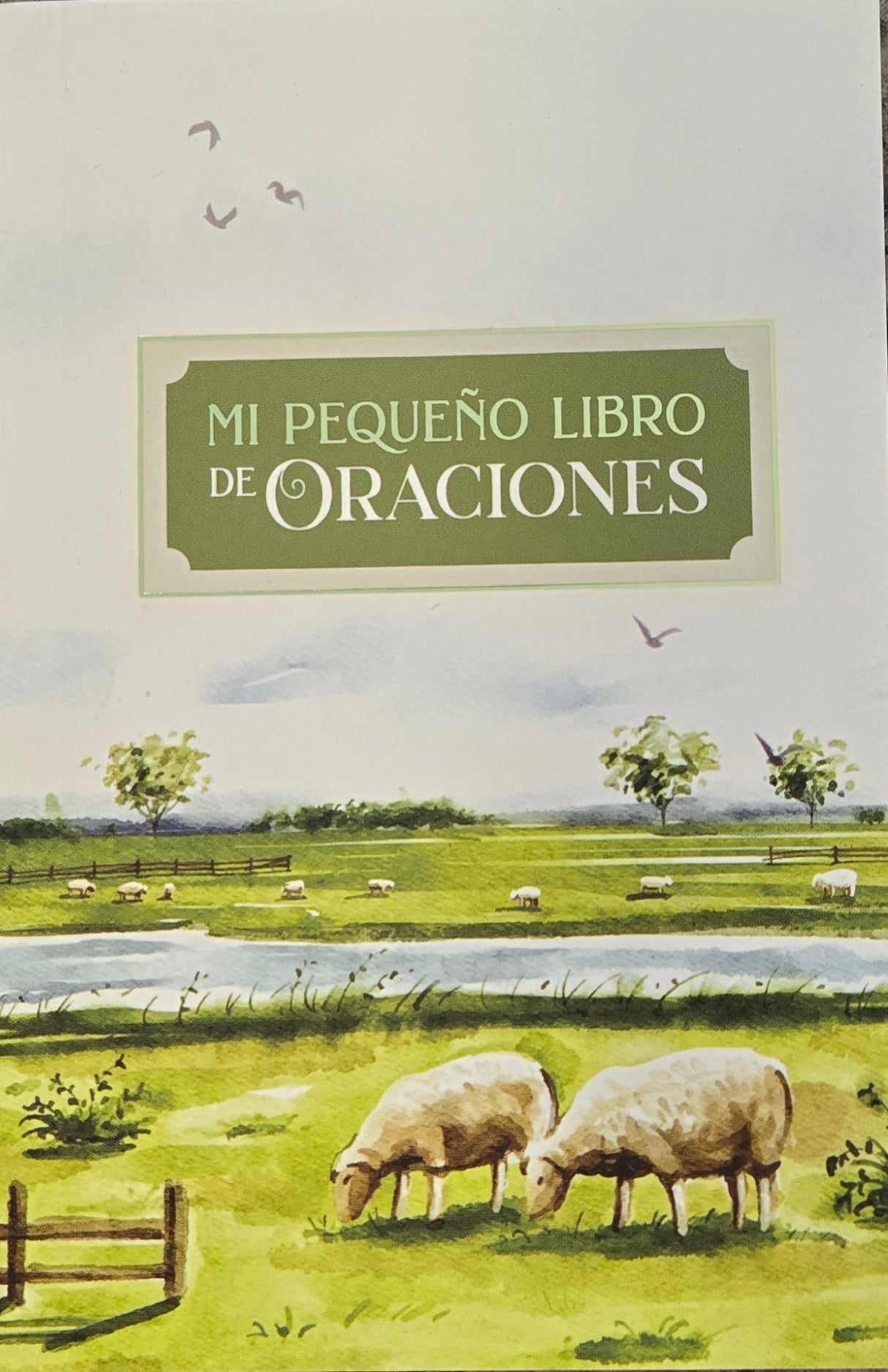 Mi pequeño libro de oraciones Pocket