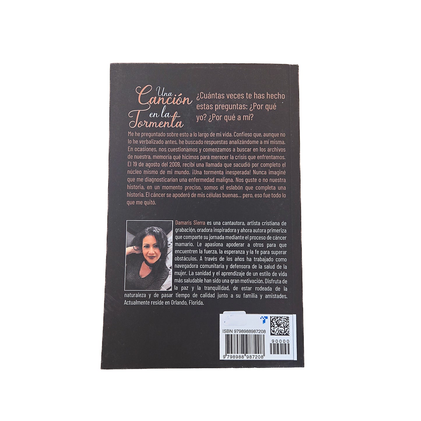 Una canción en la tormenta