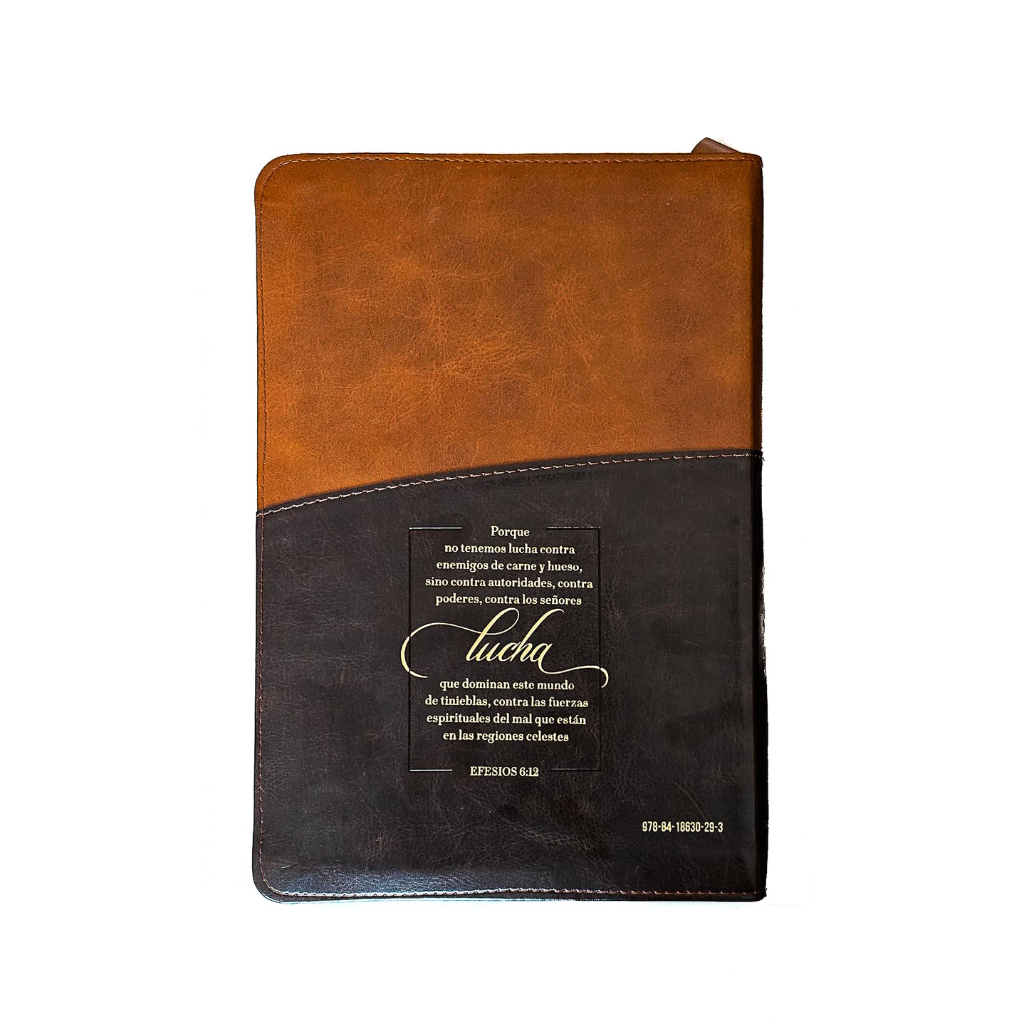 Santa biblia 2020 Biblia estudio Marrón