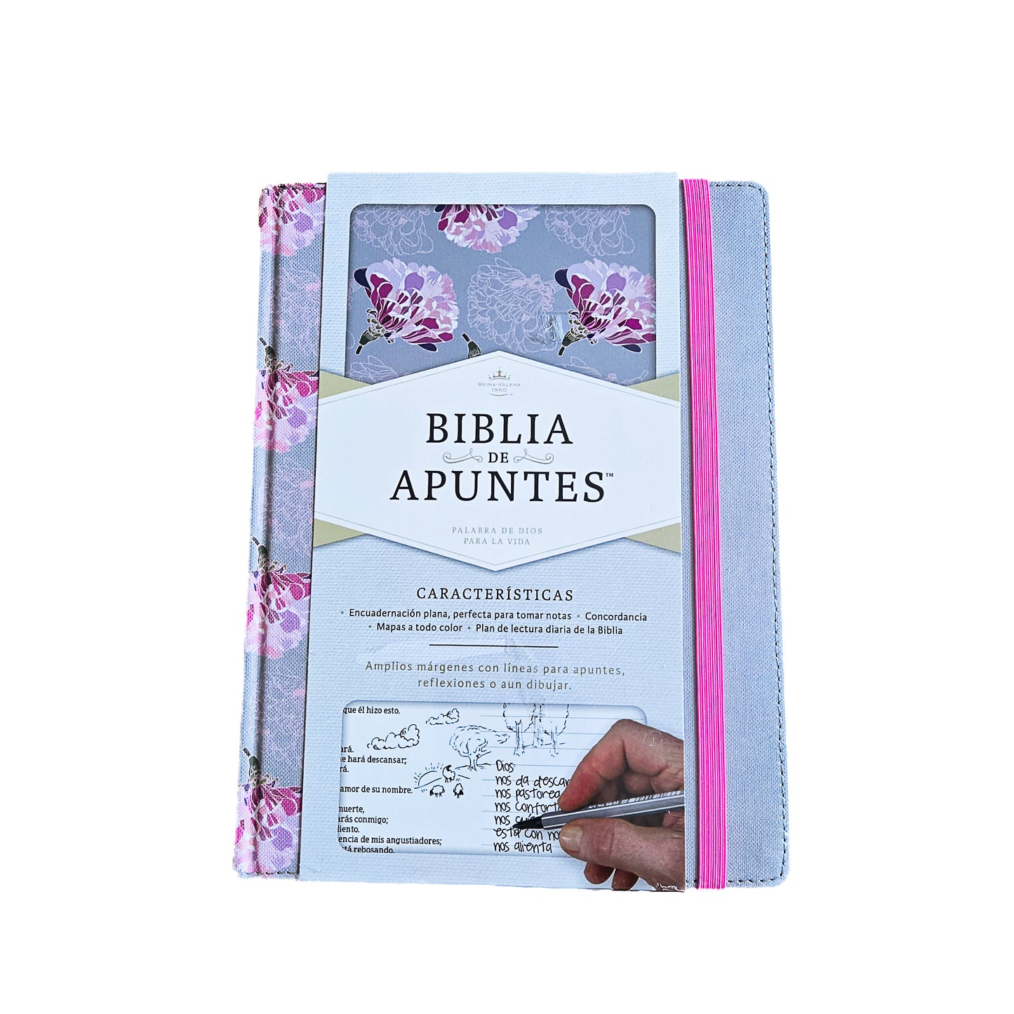 Biblia Journaling de apuntes RV60