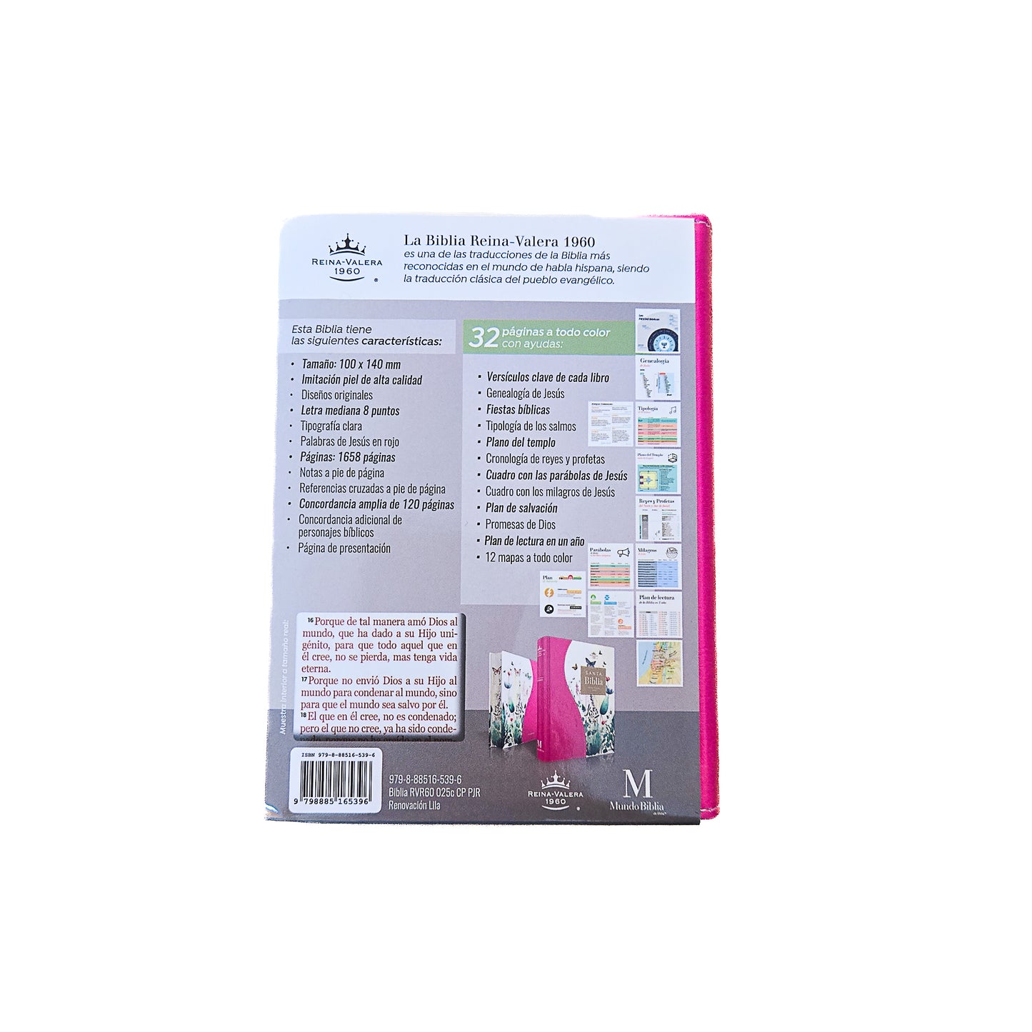 Biblia MB RV60 bolsillo fuschia floral