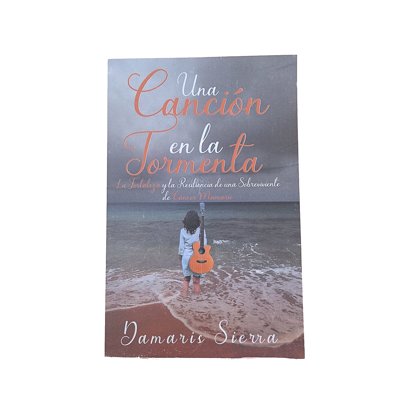 Una canción en la tormenta