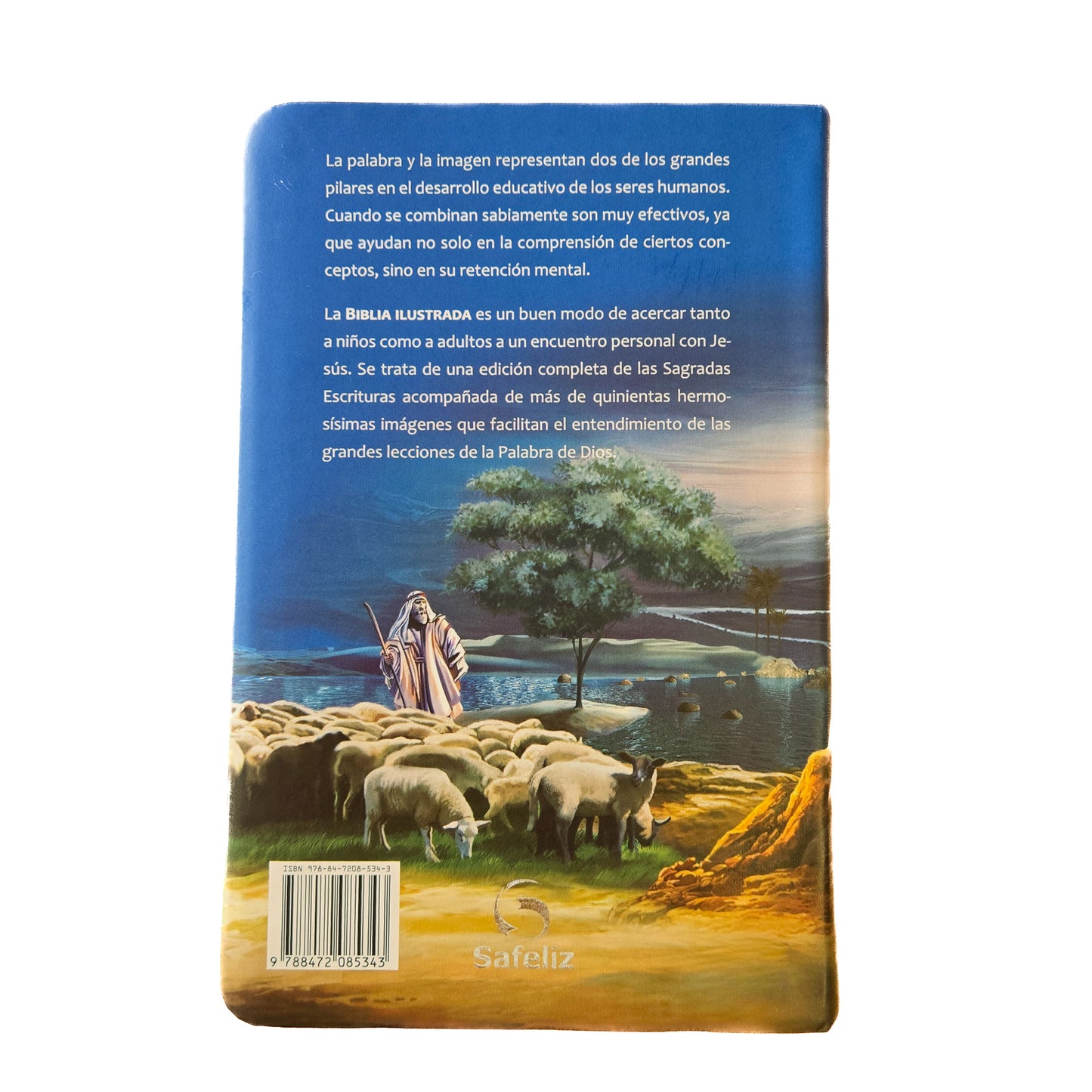 Biblia ilustrada Safeliz RV95