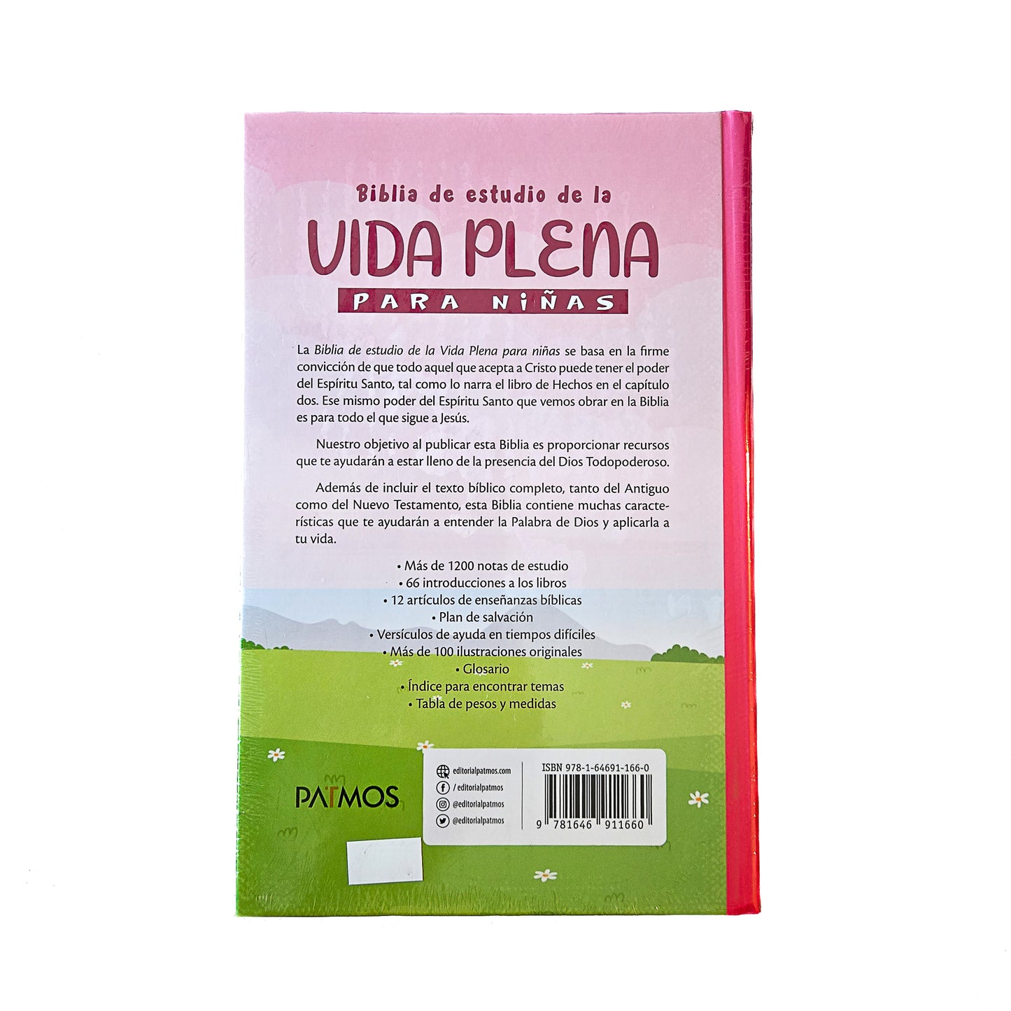 Biblia de estudio de la vida plena para niños