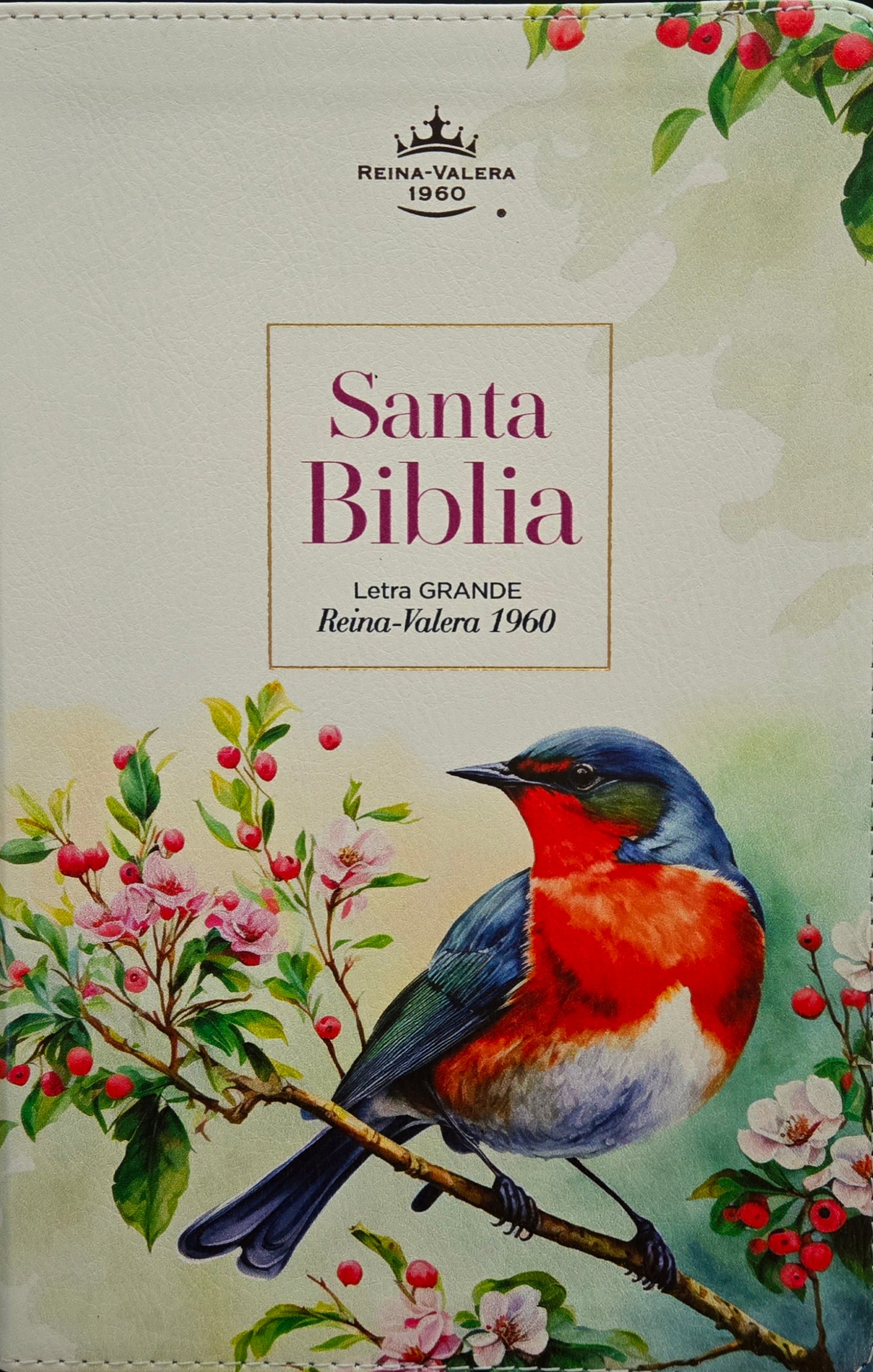 Biblia RV60 MB 12 Ave Azul roja