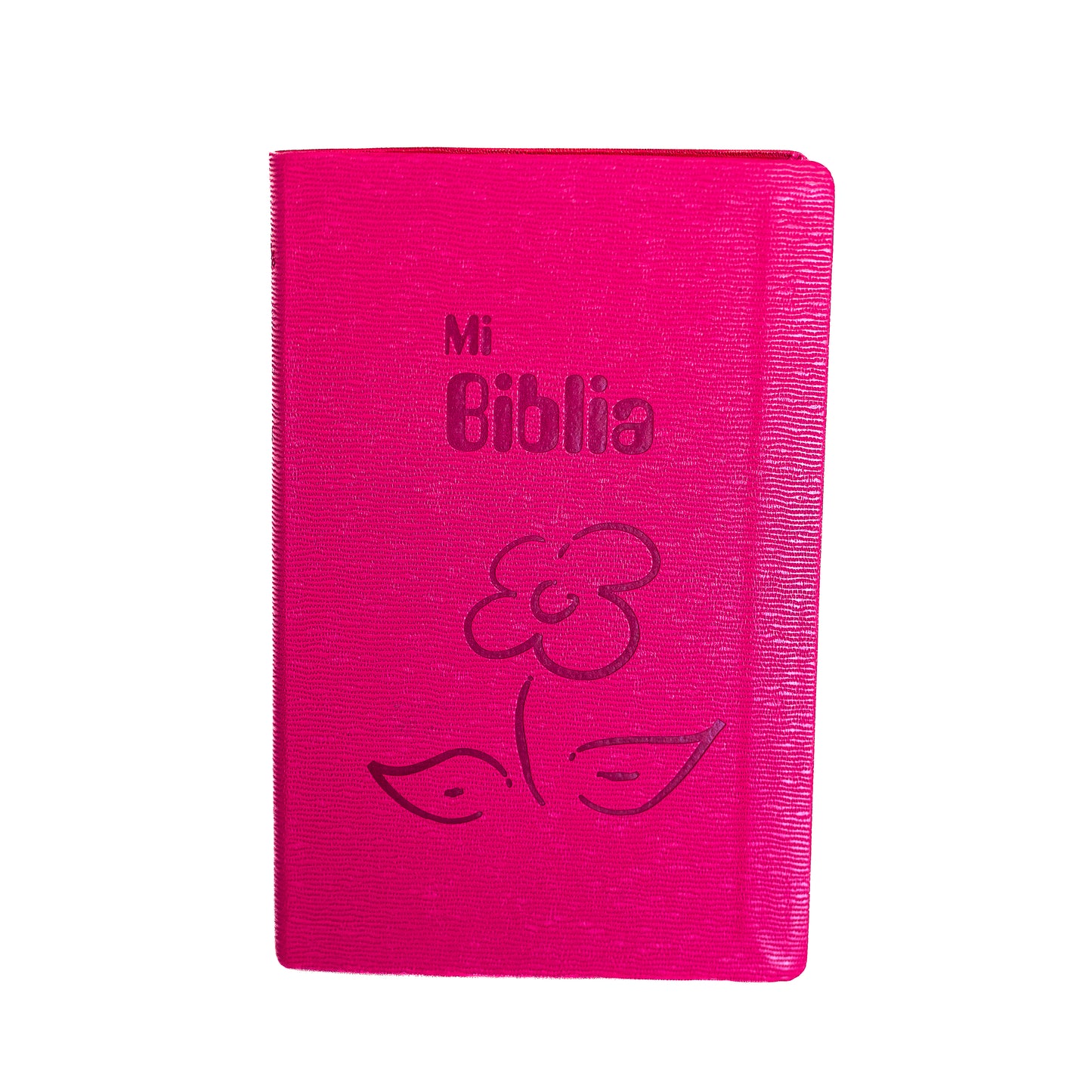 Mi Biblia RV95