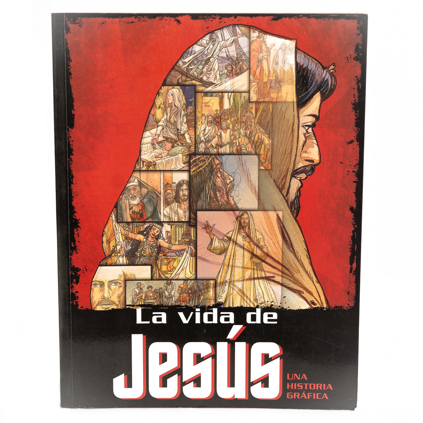 La vida de Jesús